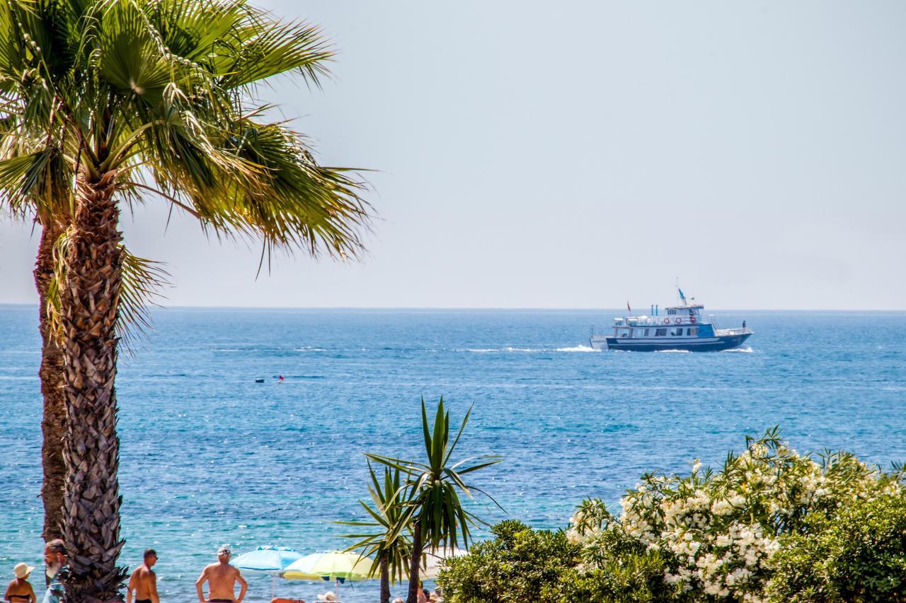 Espanatour Vega Baja Torrevieja Bagian luar foto